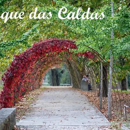 Quinta D'aurea Gospodarstwo agroturystyczne *