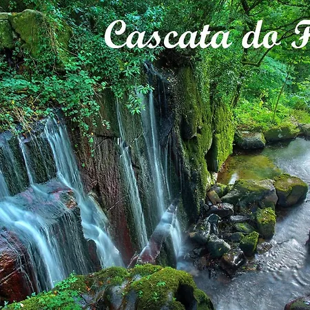 Quinta D'aurea Gospodarstwo agroturystyczne *